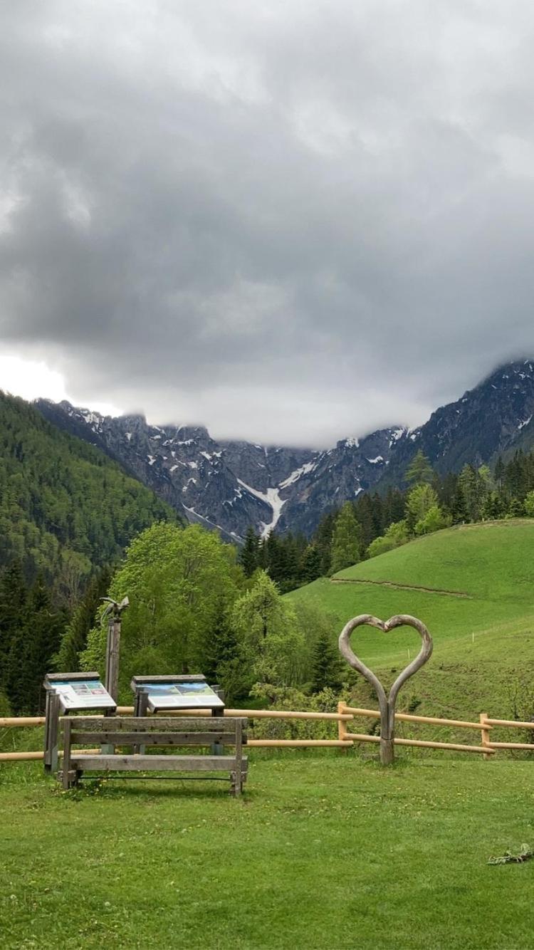 Ferienwohnung Tourist Farm Gradišnik Solčava Exterior foto