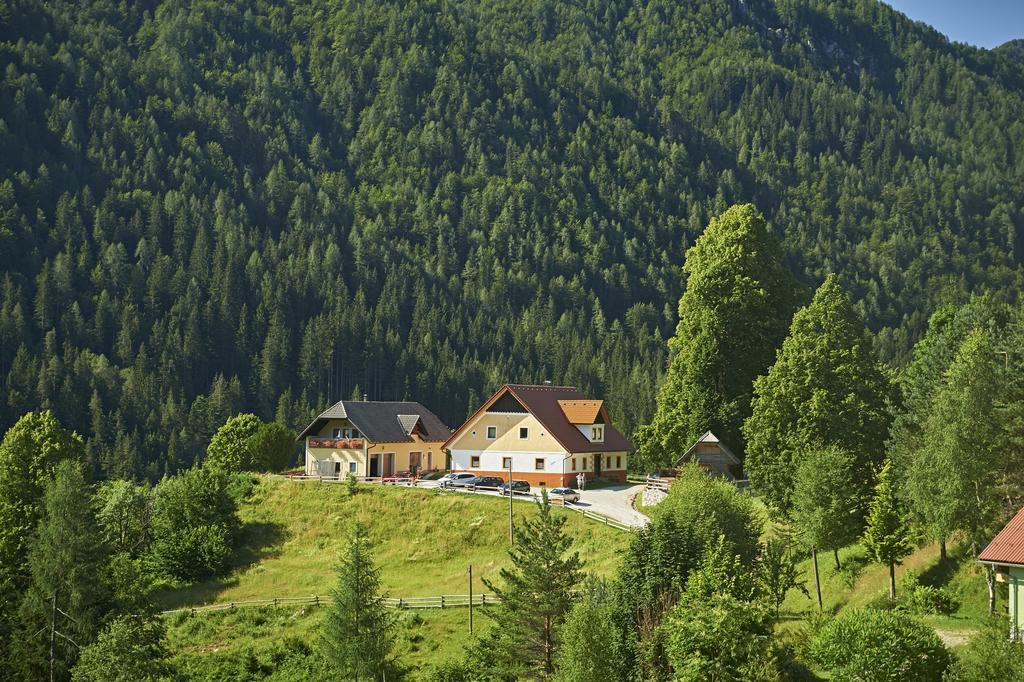 Ferienwohnung Tourist Farm Gradišnik Solčava Exterior foto
