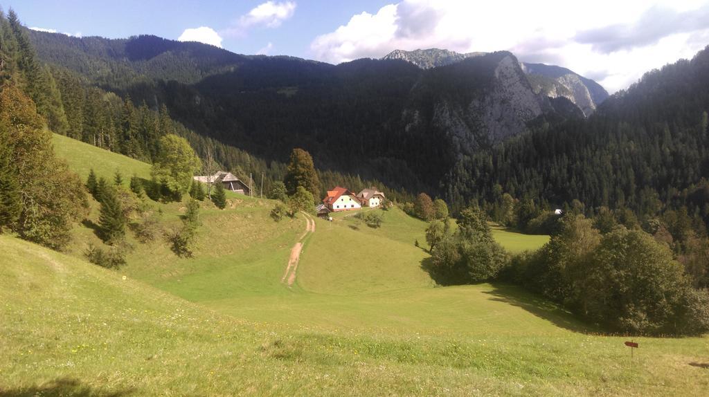 Ferienwohnung Tourist Farm Gradišnik Solčava Exterior foto