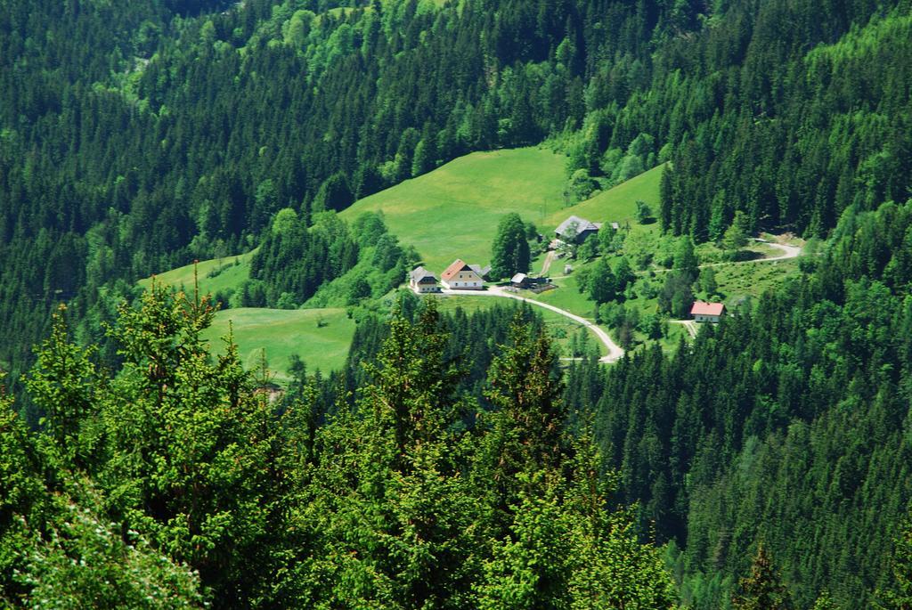 Ferienwohnung Tourist Farm Gradišnik Solčava Exterior foto